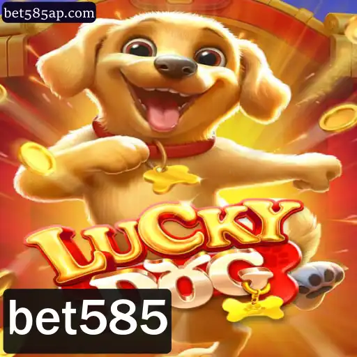Descubra o Mundo de Diversão com LuckyDog: Regras e Dicas Atuais